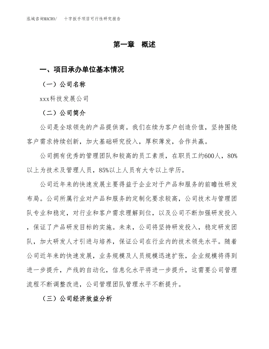 十字扳手项目可行性研究报告（总投资3000万元）（12亩）_第3页