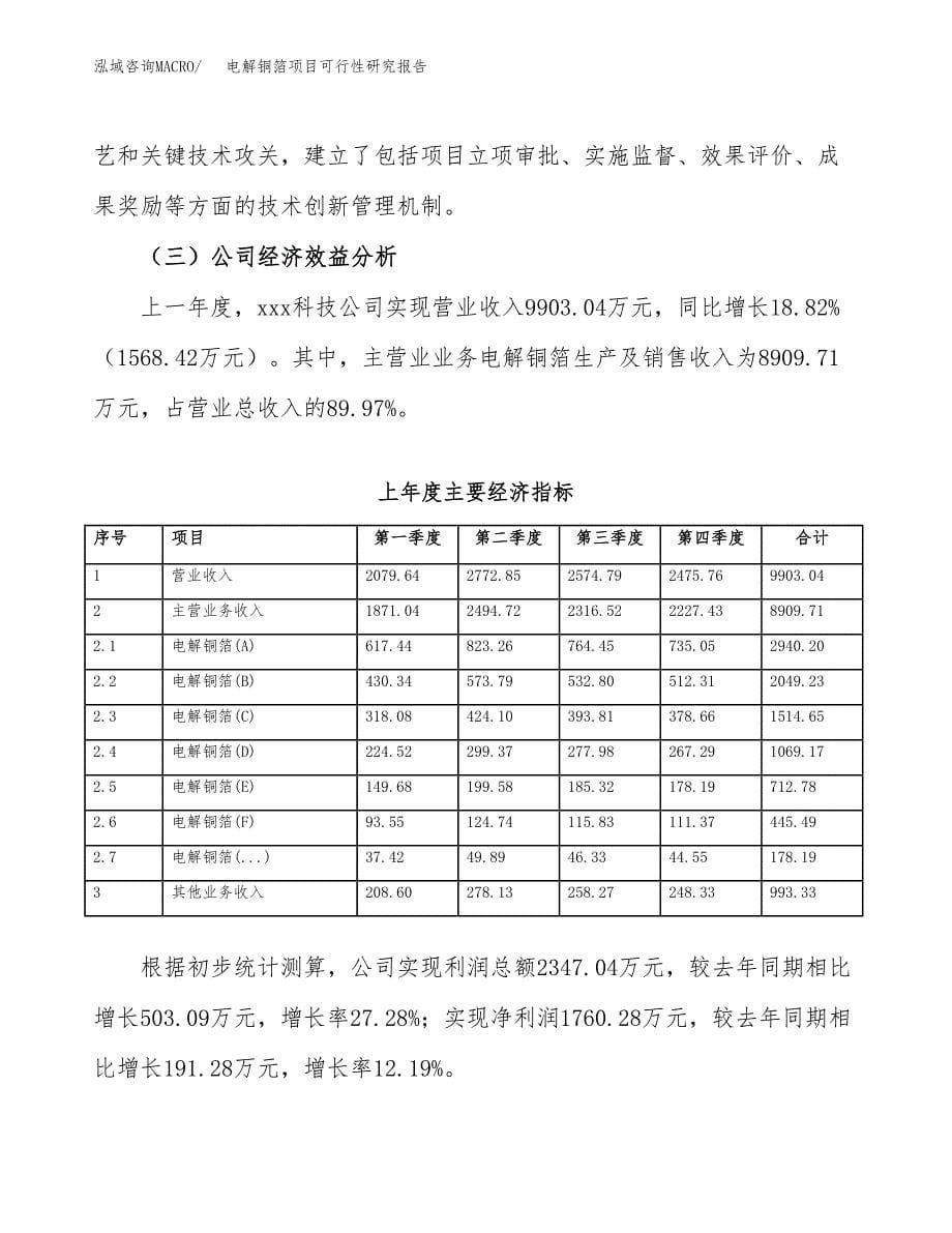 电解铜箔项目可行性研究报告-立项备案.docx_第5页