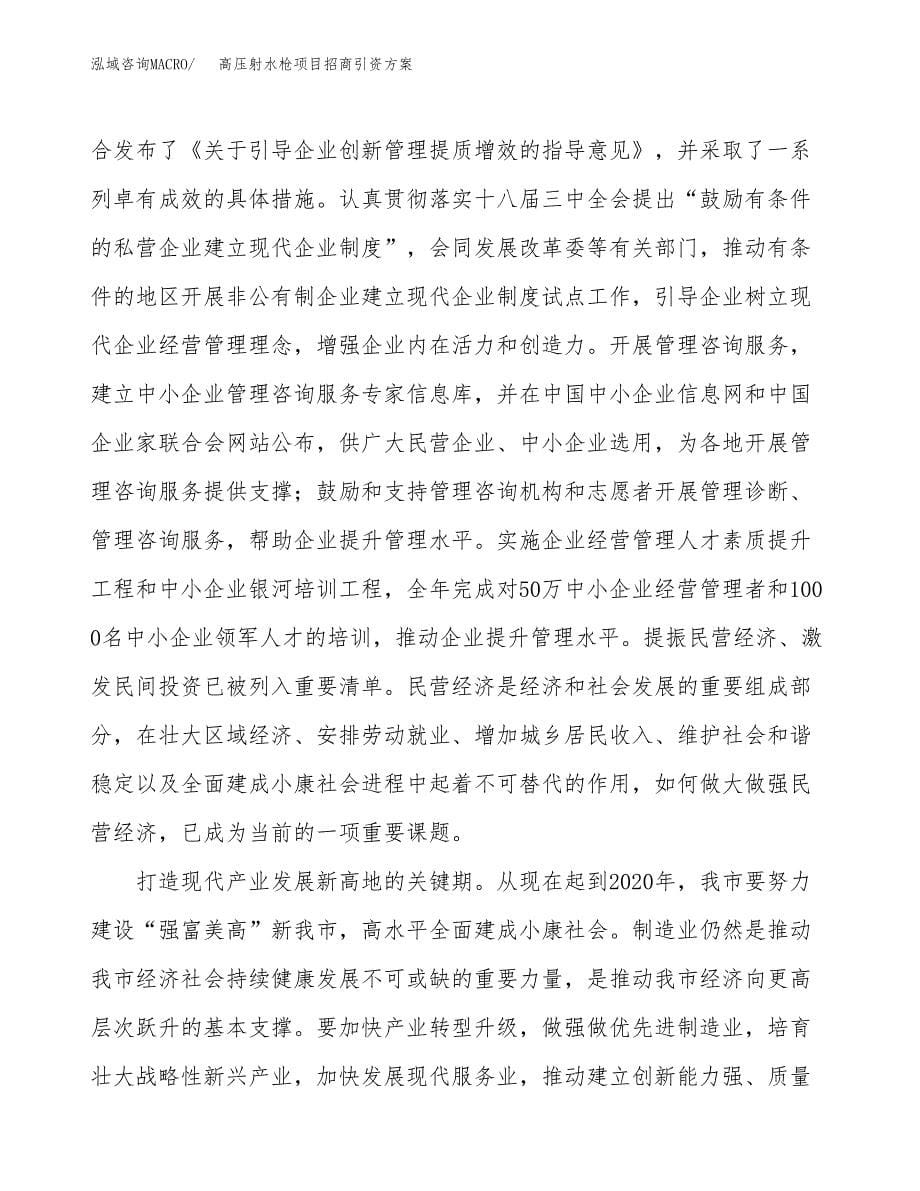 高压射水枪项目招商引资方案(立项报告).docx_第5页