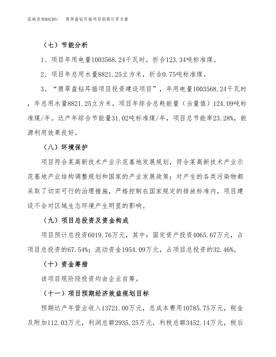 翡翠盘钻耳插项目招商引资方案(立项报告).docx_第2页