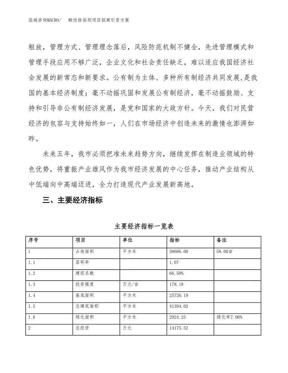 酸性除垢剂项目招商引资方案(立项报告).docx_第5页