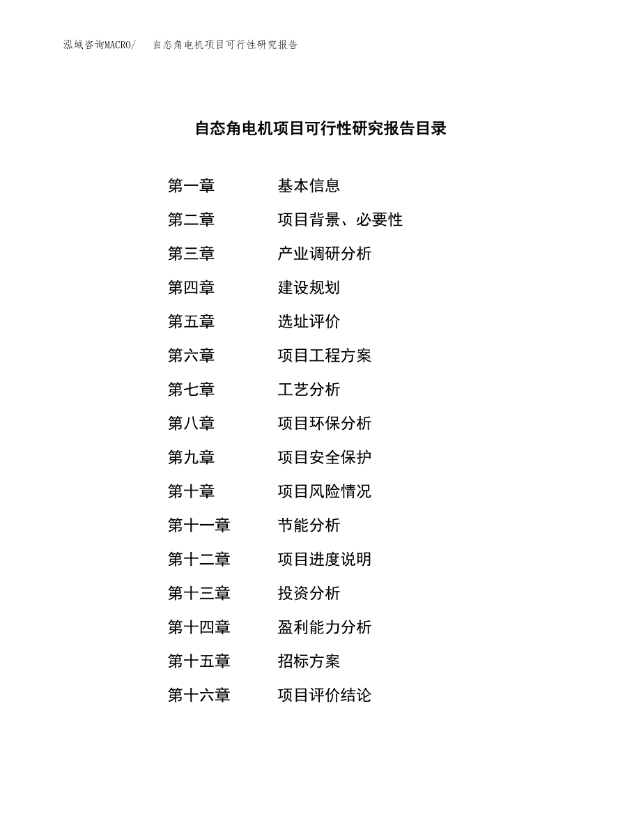 自态角电机项目可行性研究报告（总投资9000万元）（45亩）_第2页