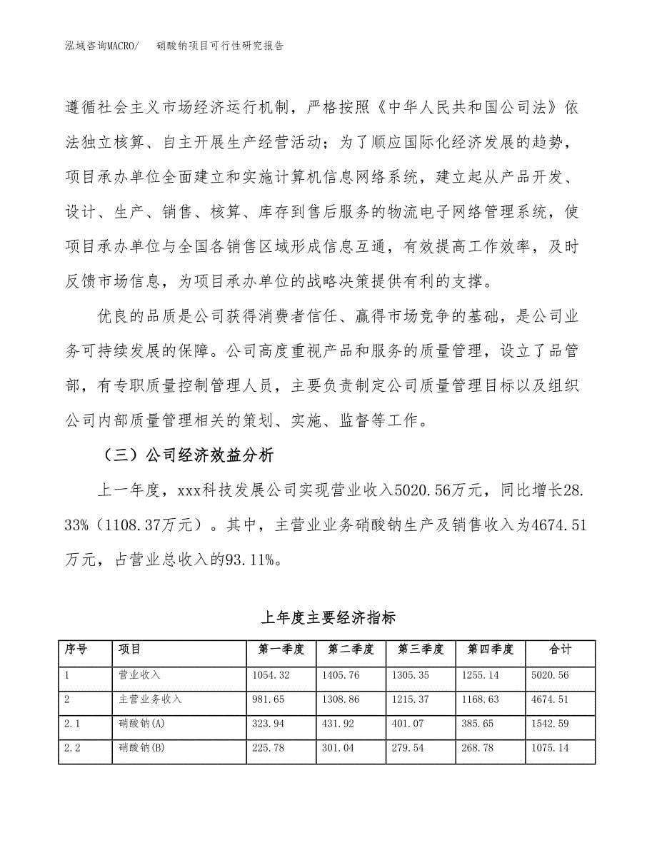 硝酸钠项目可行性研究报告-立项备案.docx_第5页