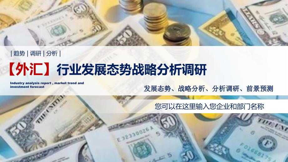 外汇行业发展态势战略分析调研_第1页