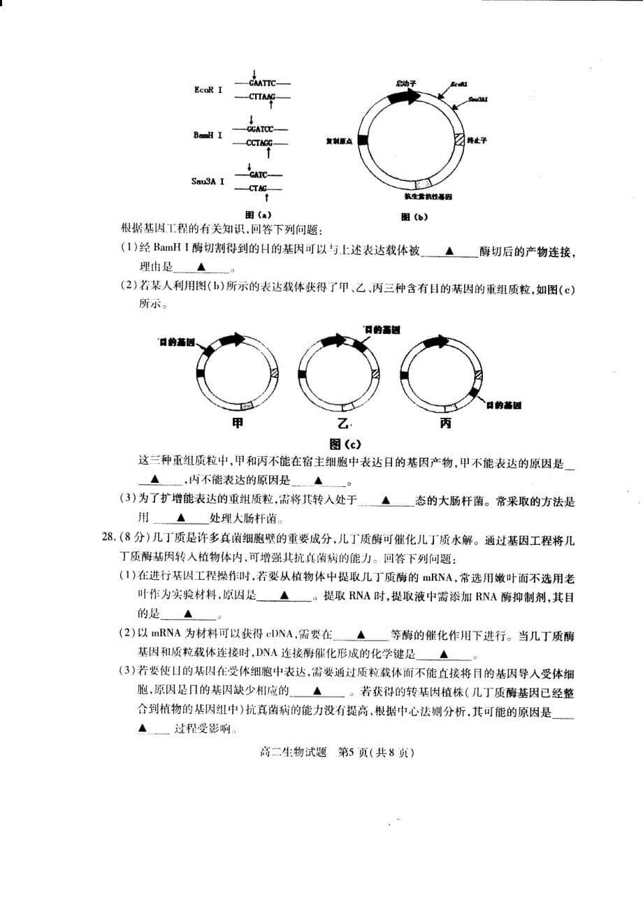 2017-2018年江苏省徐州市高二（下学期）期中考试生物试题（PDF版）.pdf_第5页