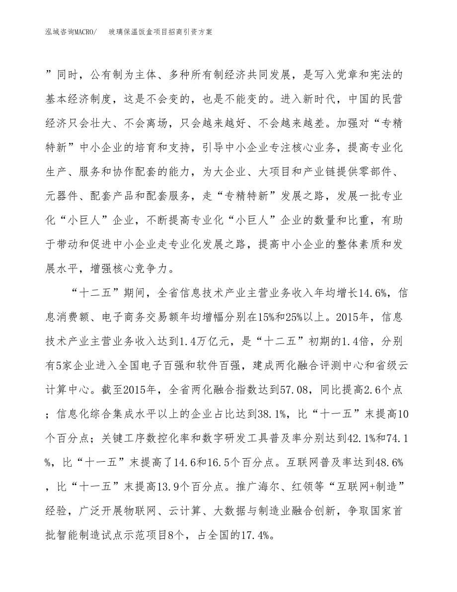 玻璃保温饭盒项目招商引资方案(立项报告).docx_第5页