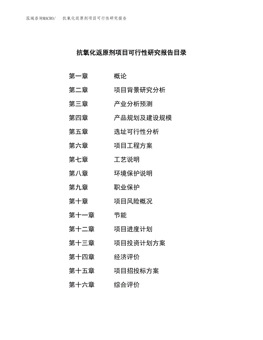 抗氧化返原剂项目可行性研究报告-立项备案.docx_第3页