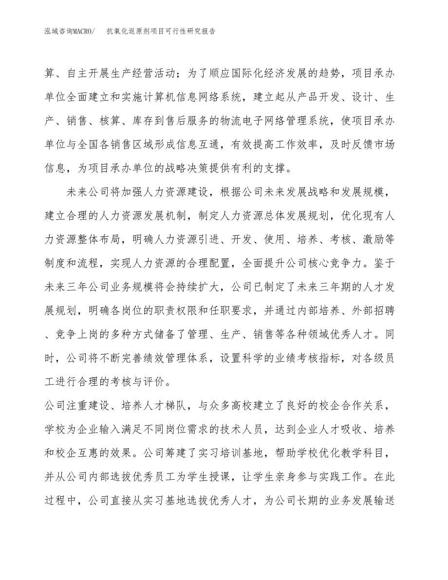 抗氧化返原剂项目可行性研究报告-立项备案.docx_第5页