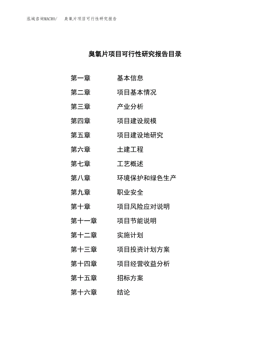 臭氧片项目可行性研究报告（总投资13000万元）（50亩）_第2页