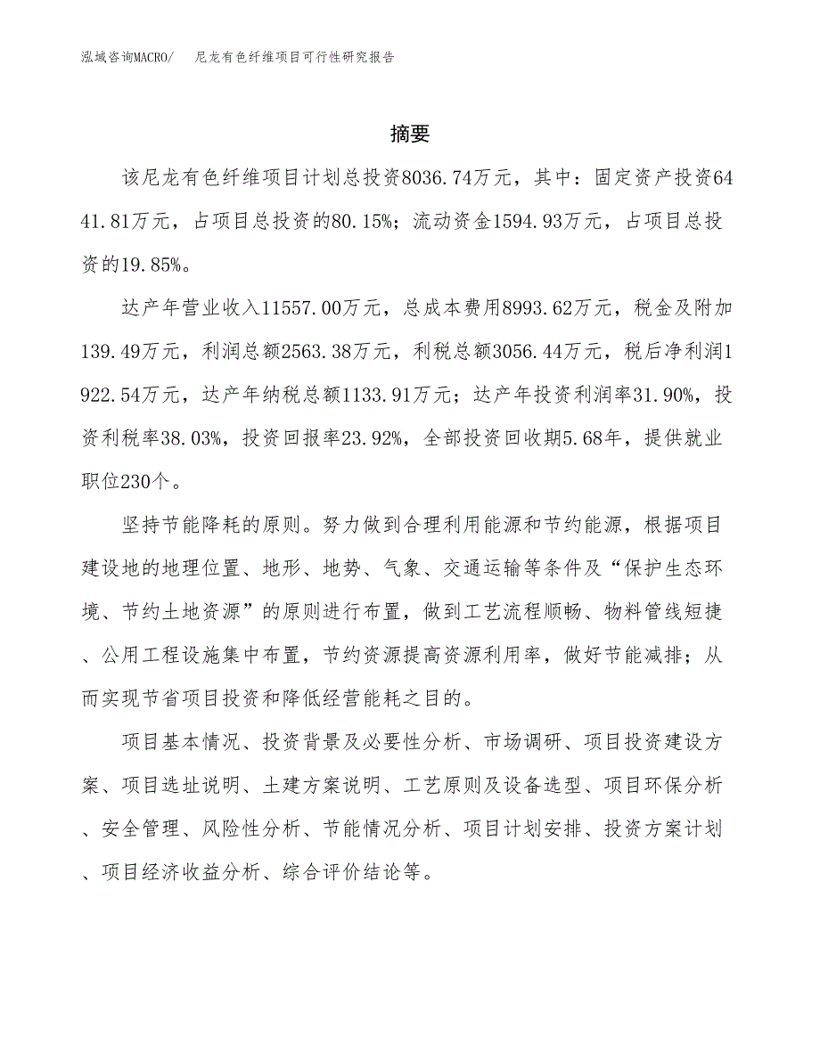 尼龙有色纤维项目可行性研究报告-立项备案.docx_第2页