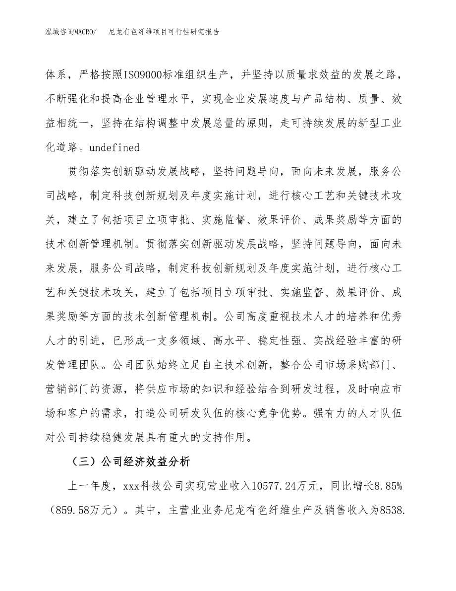 尼龙有色纤维项目可行性研究报告-立项备案.docx_第5页