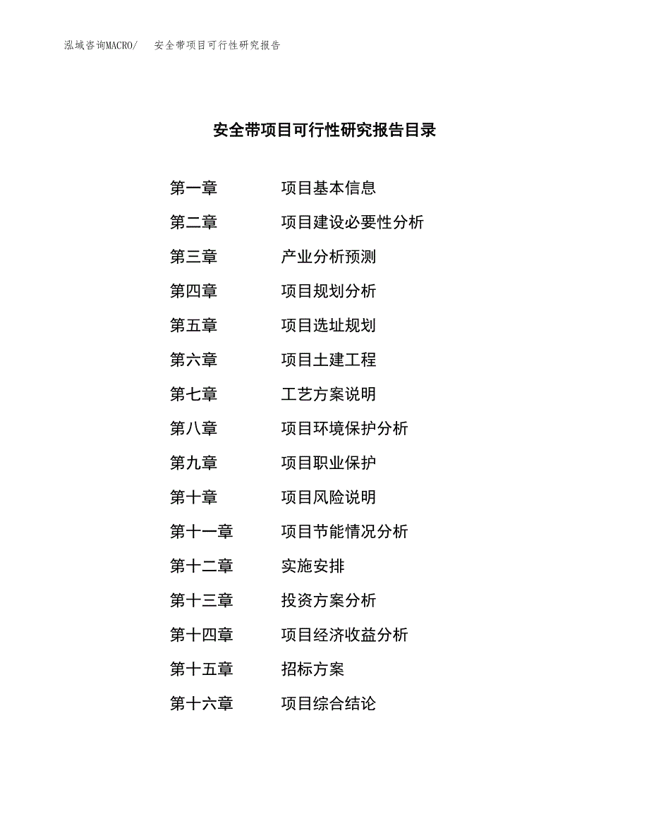 安全带项目可行性研究报告（总投资4000万元）（15亩）_第2页