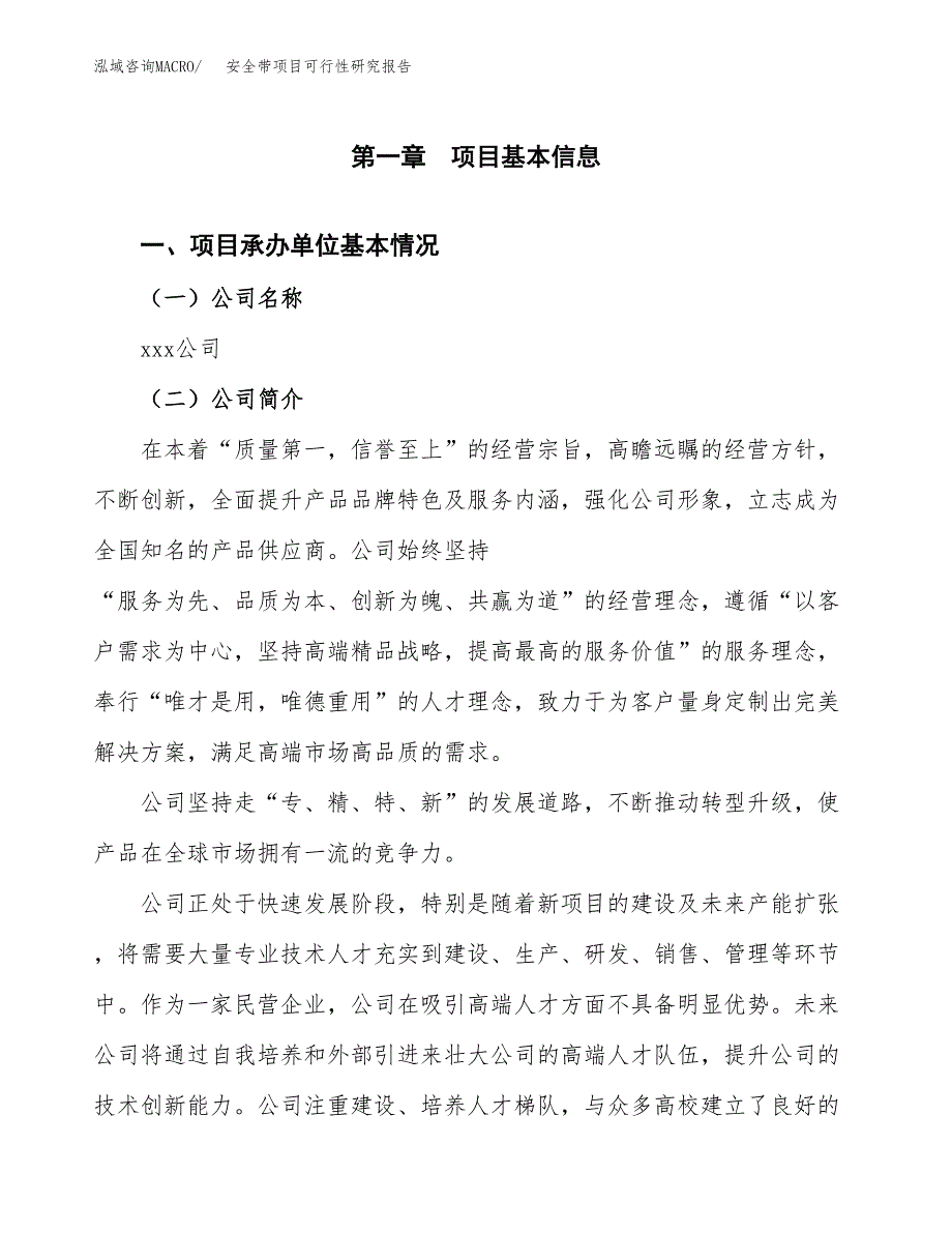 安全带项目可行性研究报告（总投资4000万元）（15亩）_第3页