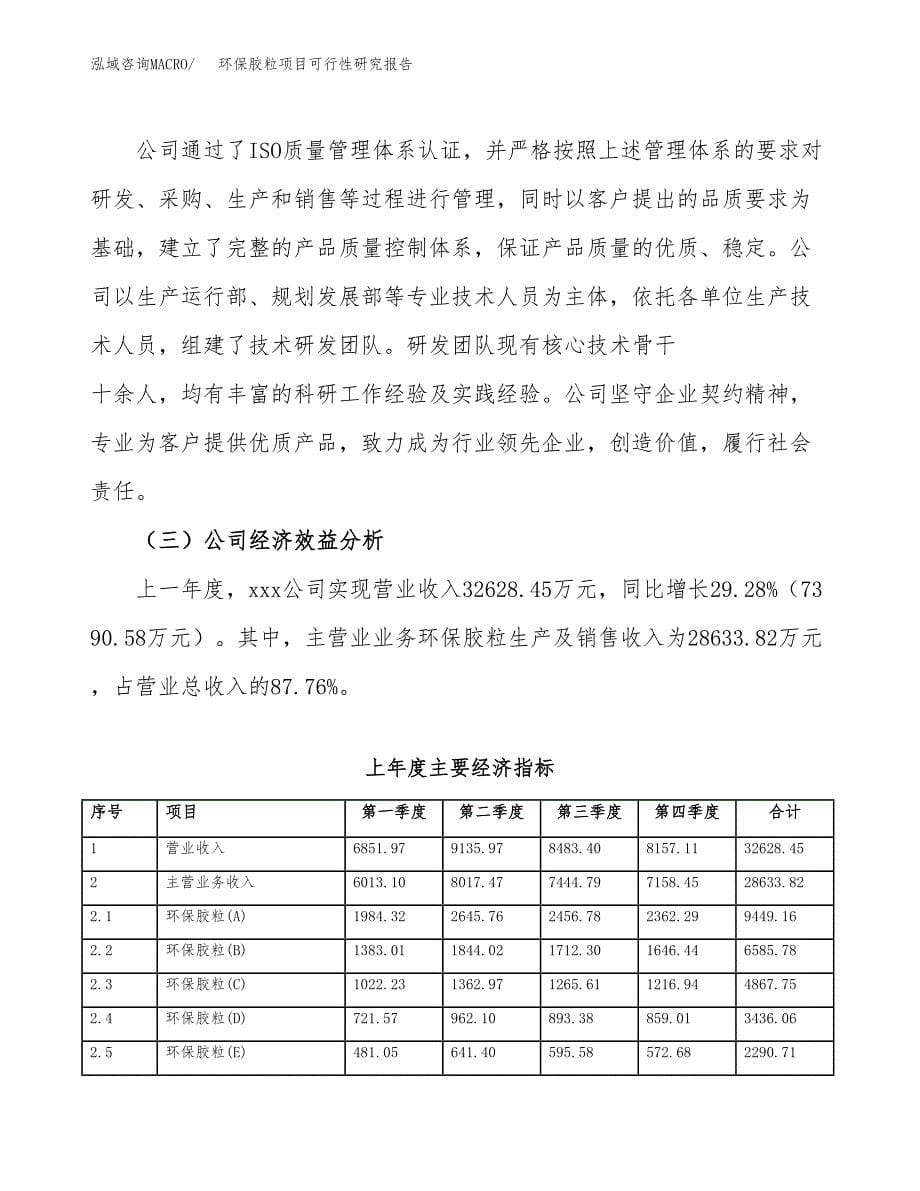 环保胶粒项目可行性研究报告-立项备案.docx_第5页