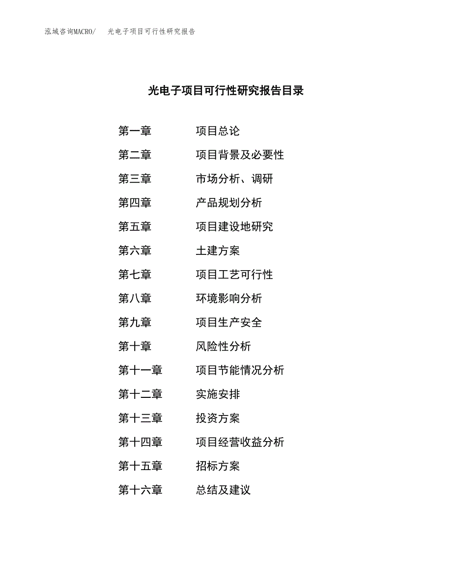 光电子项目可行性研究报告（总投资13000万元）（54亩）_第2页