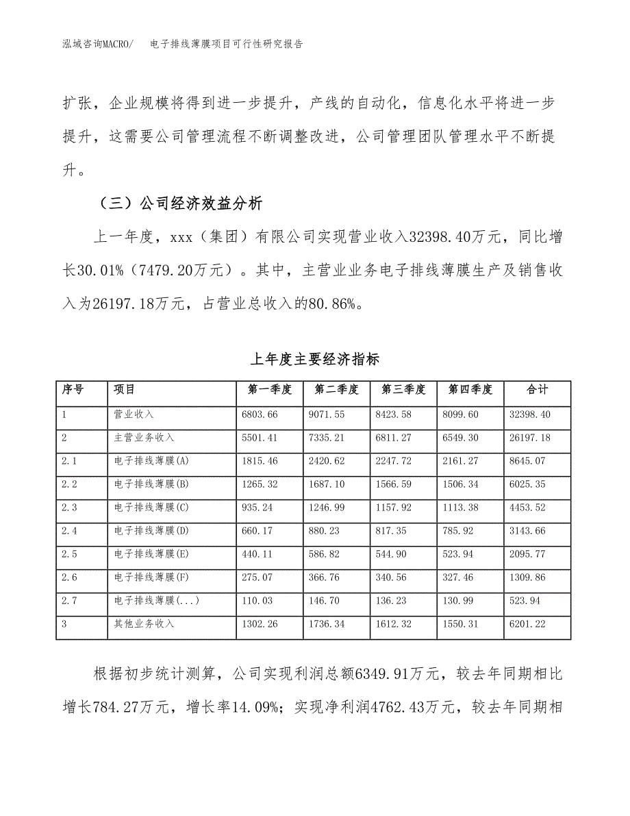 电子排线薄膜项目可行性研究报告-立项备案.docx_第5页