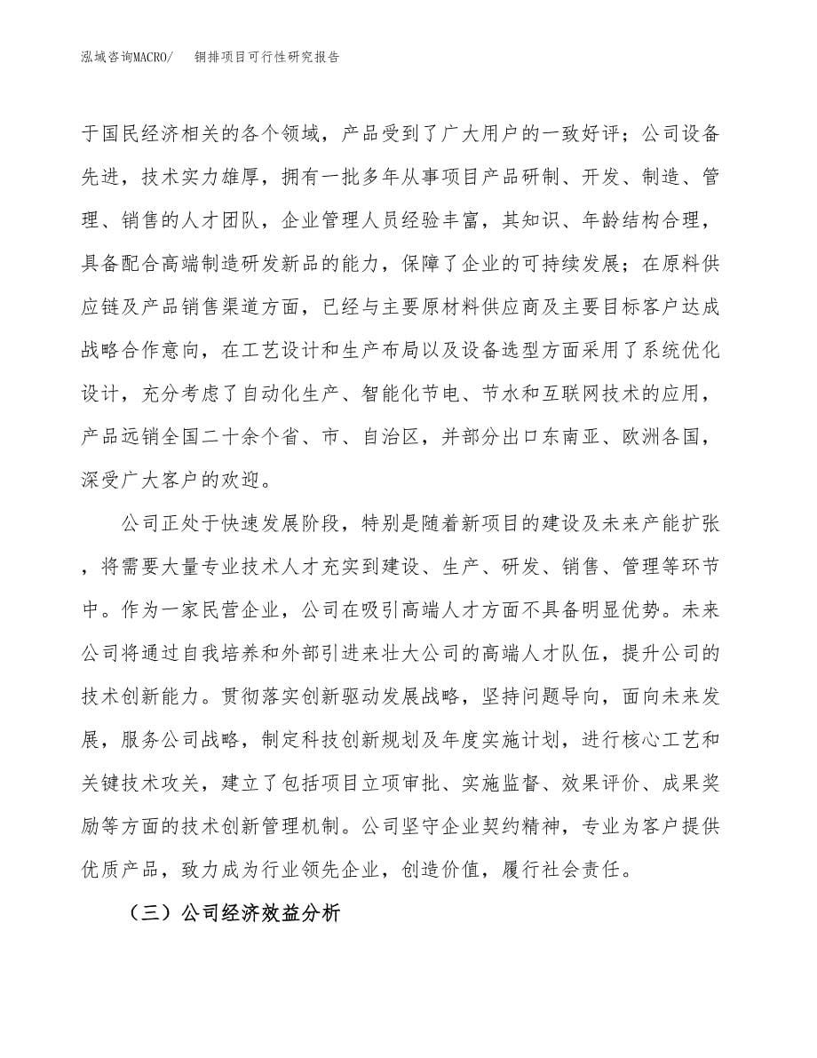 铜排项目可行性研究报告-立项备案.docx_第5页