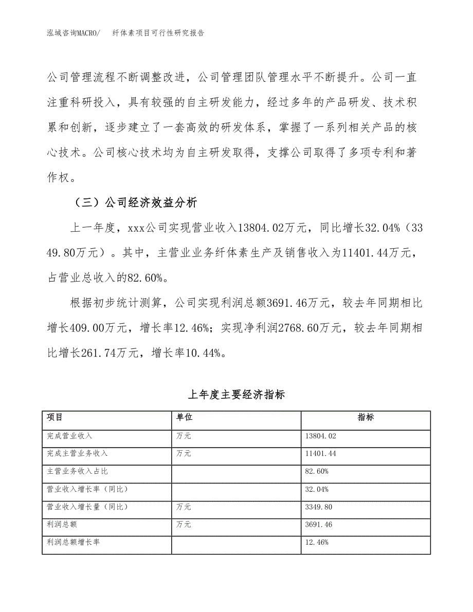 纤体素项目可行性研究报告（总投资9000万元）（35亩）_第5页