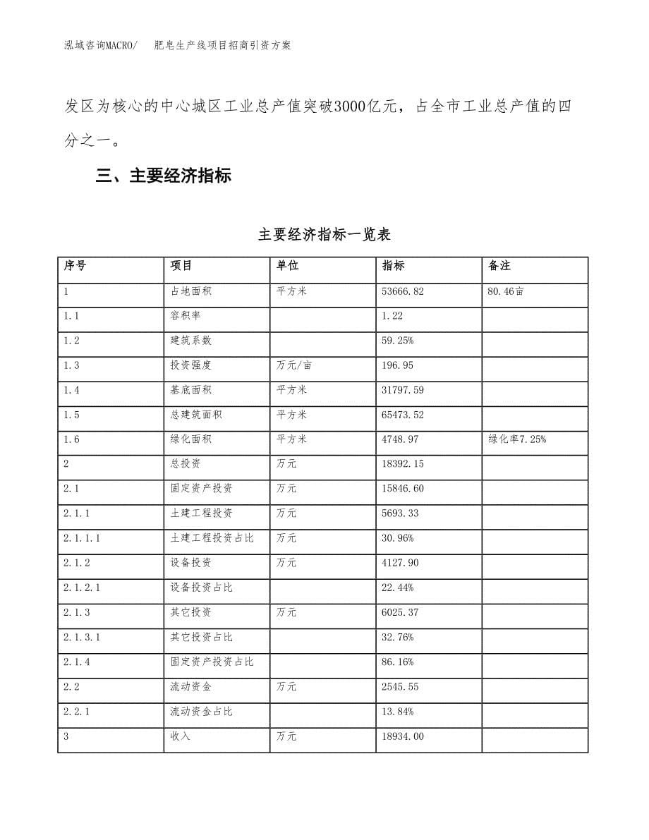 肥皂生产线项目招商引资方案(立项报告).docx_第5页