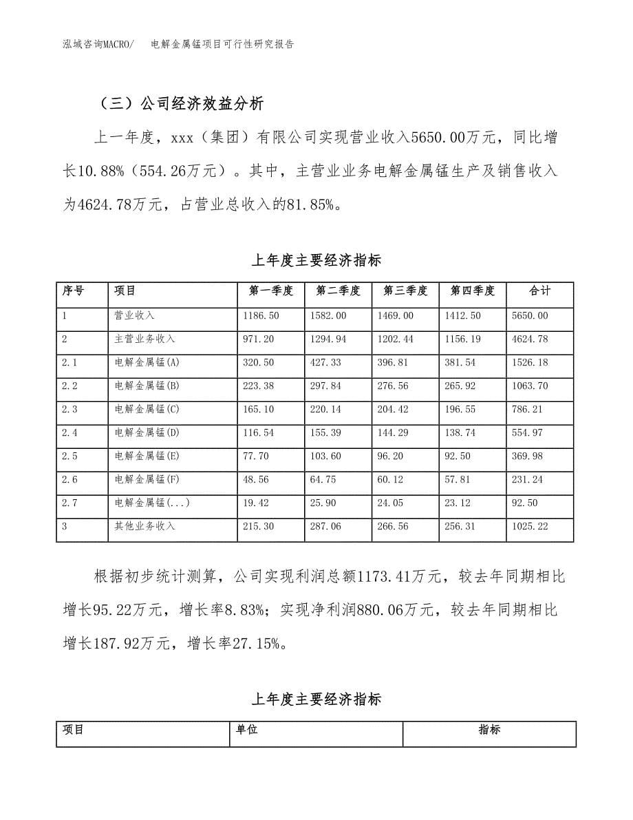 电解金属锰项目可行性研究报告-立项备案.docx_第5页