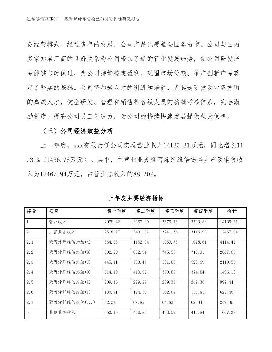 聚丙烯纤维倍捻丝项目可行性研究报告-立项备案.docx_第5页