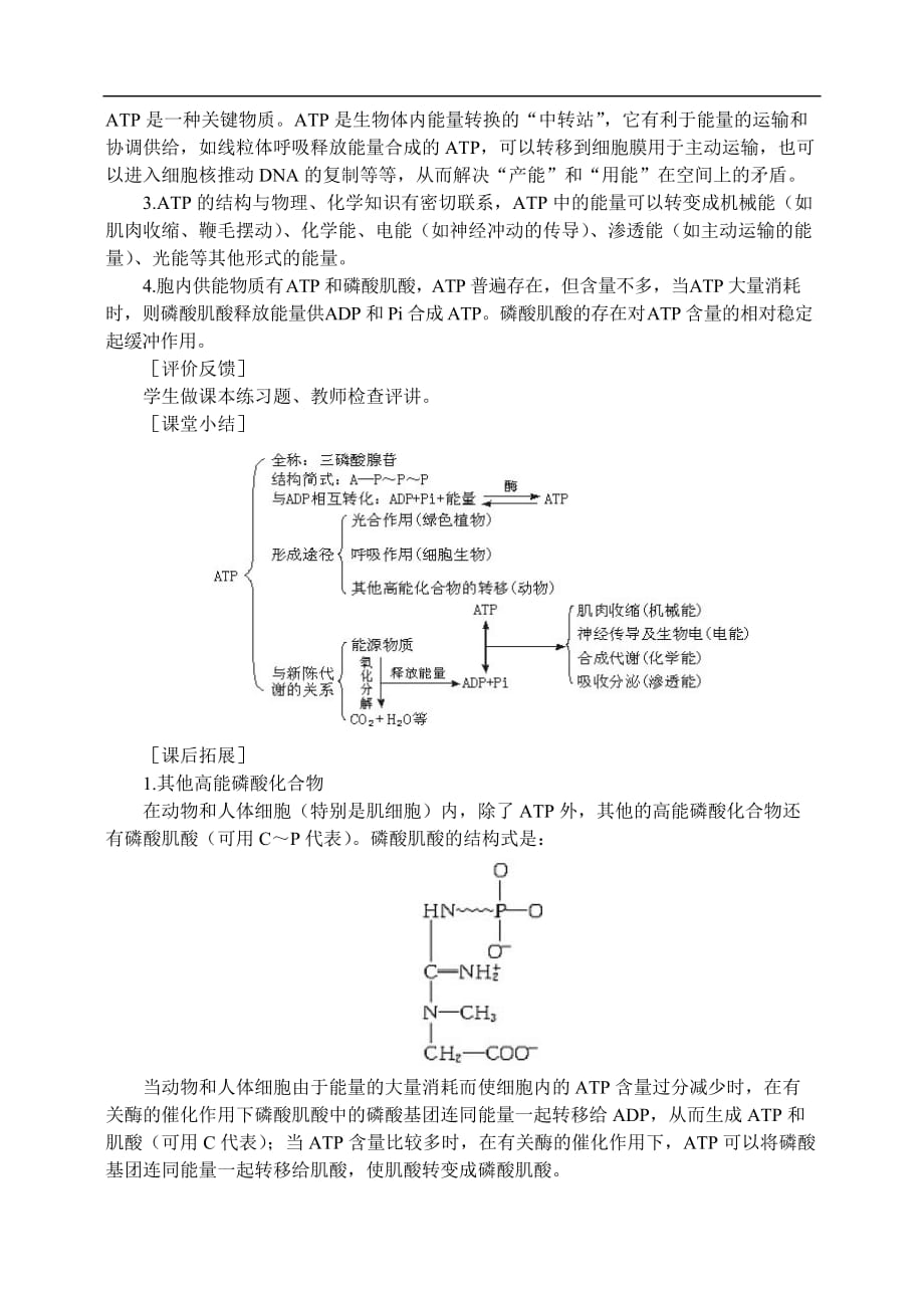 人教高中生物必修1教案： 5.2 细胞的能量“通货”—ATP 1_第3页