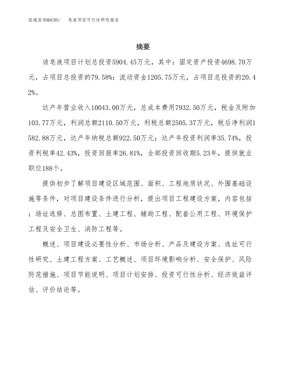 皂液项目可行性研究报告-立项备案.docx_第2页