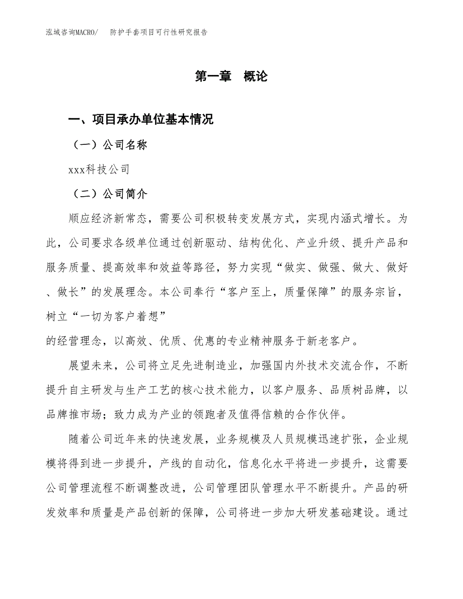 防护手套项目可行性研究报告（总投资14000万元）（62亩）_第3页