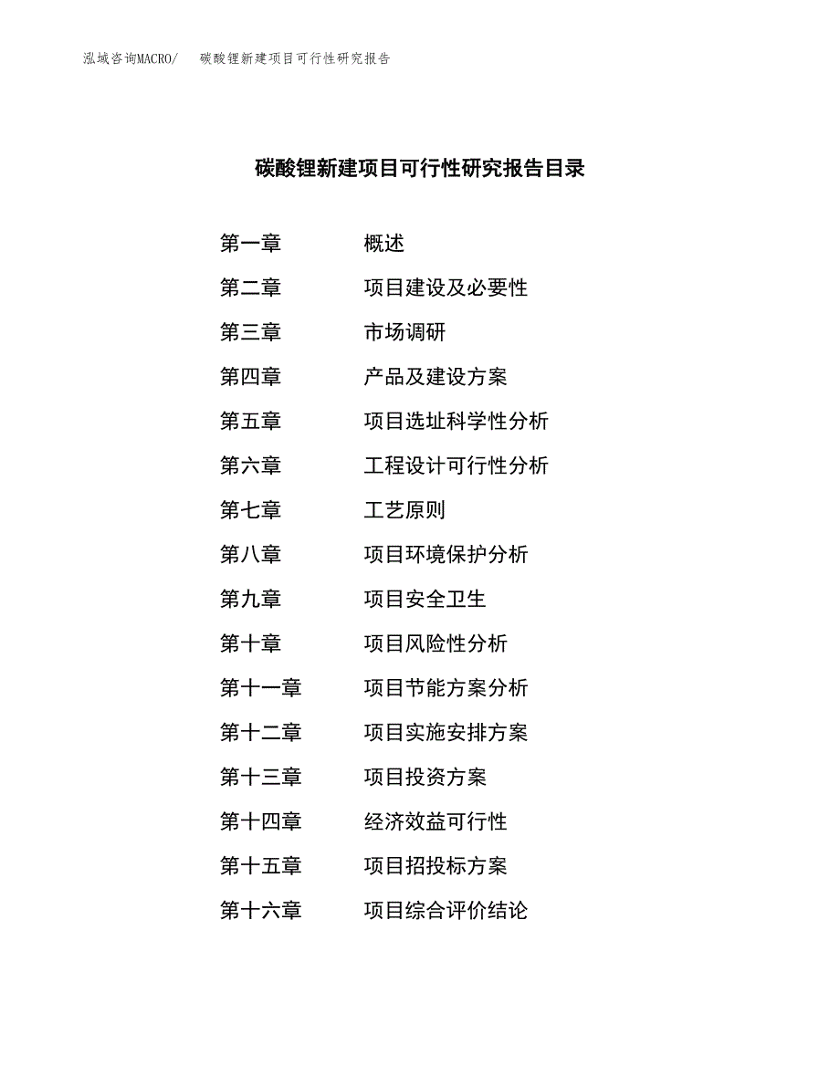 碳酸锂新建项目可行性研究报告-立项备案.docx_第3页