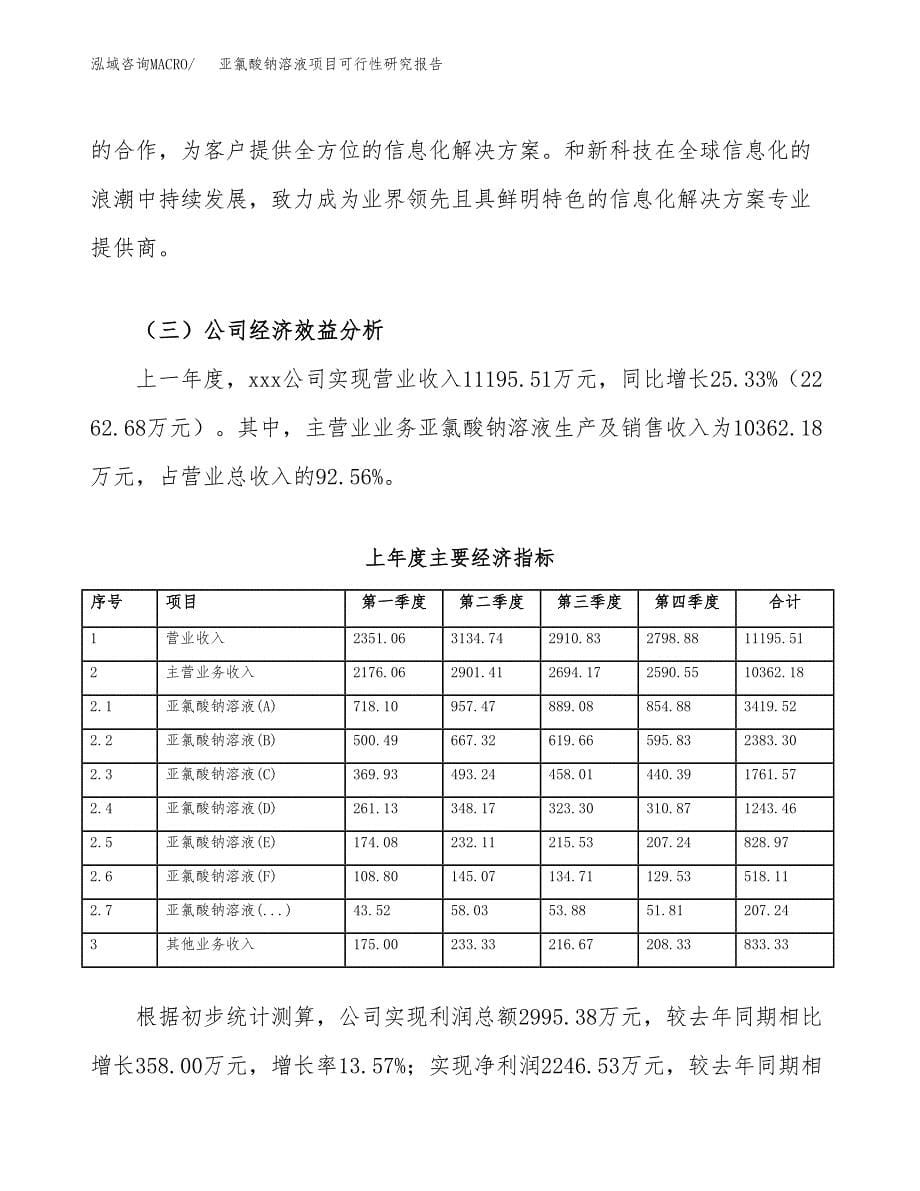 亚氯酸钠溶液项目可行性研究报告-立项备案.docx_第5页