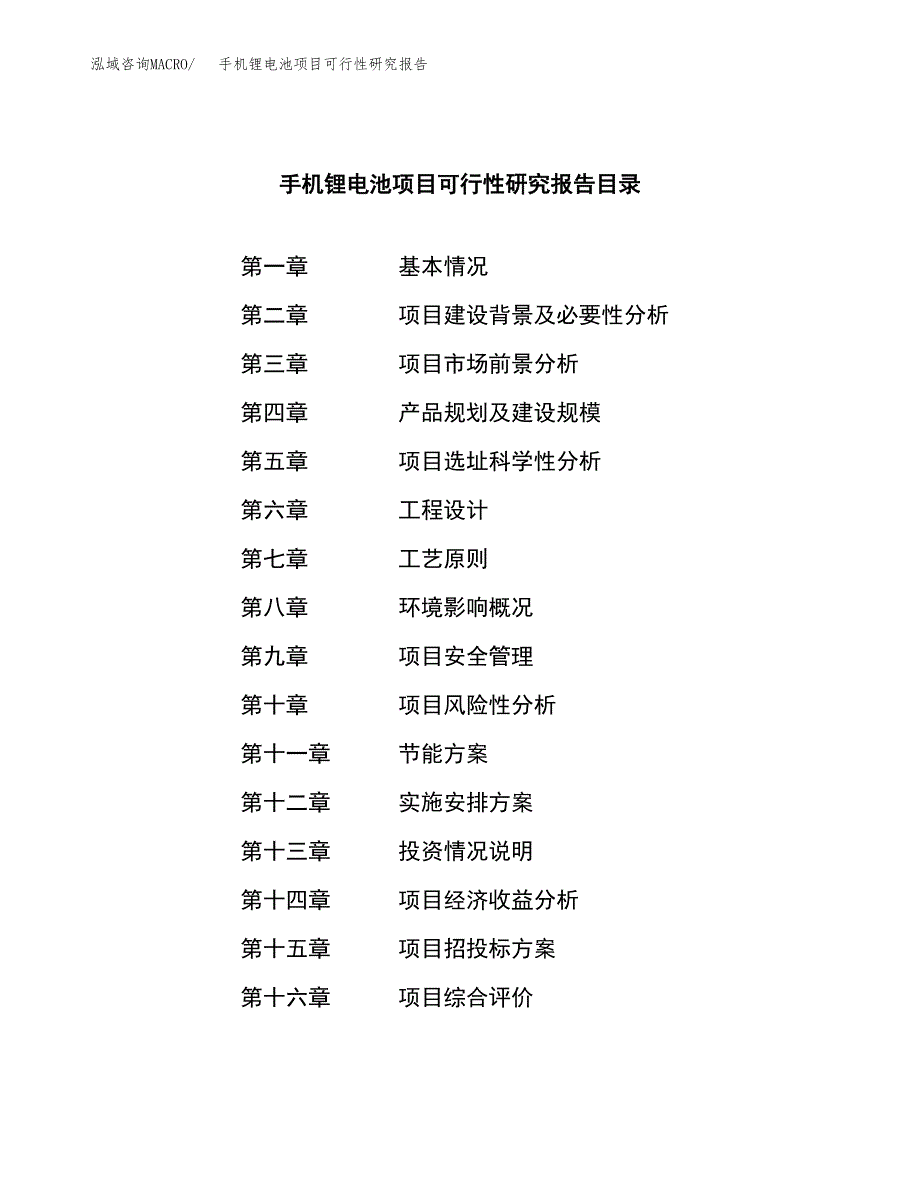 手机锂电池项目可行性研究报告-立项备案.docx_第3页