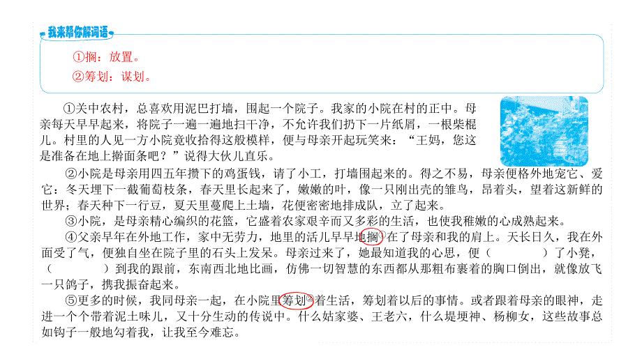 五年级上册语文课件-课外阅读周周练-(第3周) -全国通用(共35张PPT)_第3页