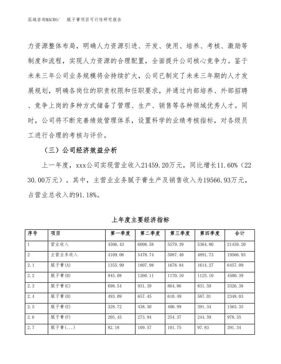 腻子膏项目可行性研究报告-立项备案.docx_第5页