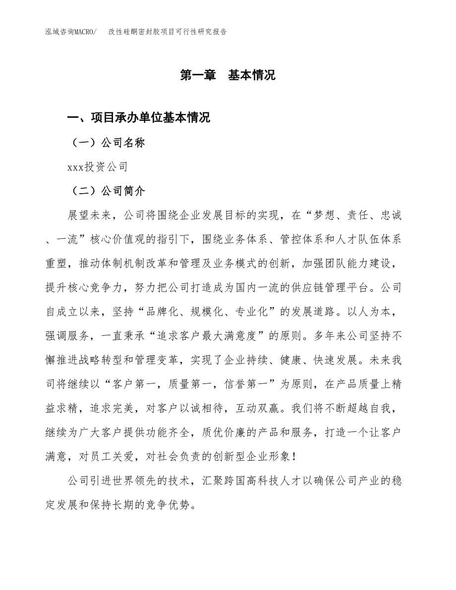 改性硅酮密封胶项目可行性研究报告-立项备案 (1).docx_第5页