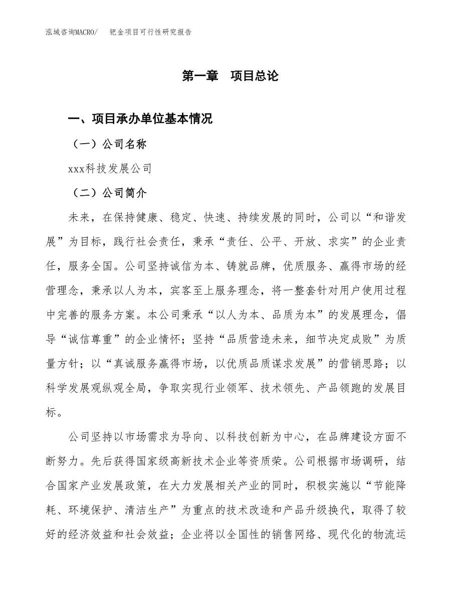 钯金项目可行性研究报告（总投资3000万元）（15亩）_第3页