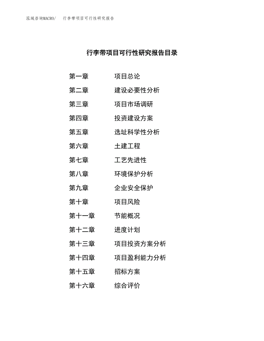 行李带项目可行性研究报告（总投资3000万元）（13亩）_第2页