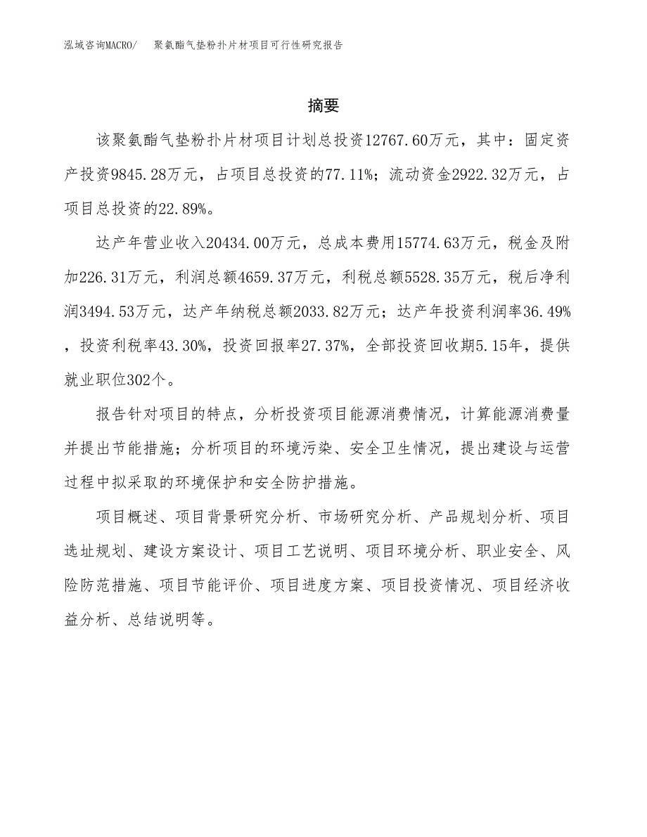 聚氨酯气垫粉扑片材项目可行性研究报告-立项备案.docx_第2页