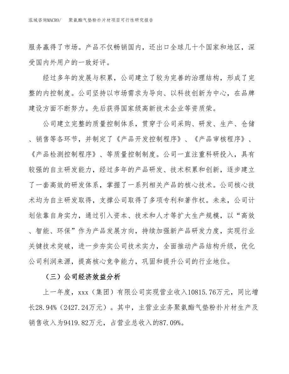 聚氨酯气垫粉扑片材项目可行性研究报告-立项备案.docx_第5页