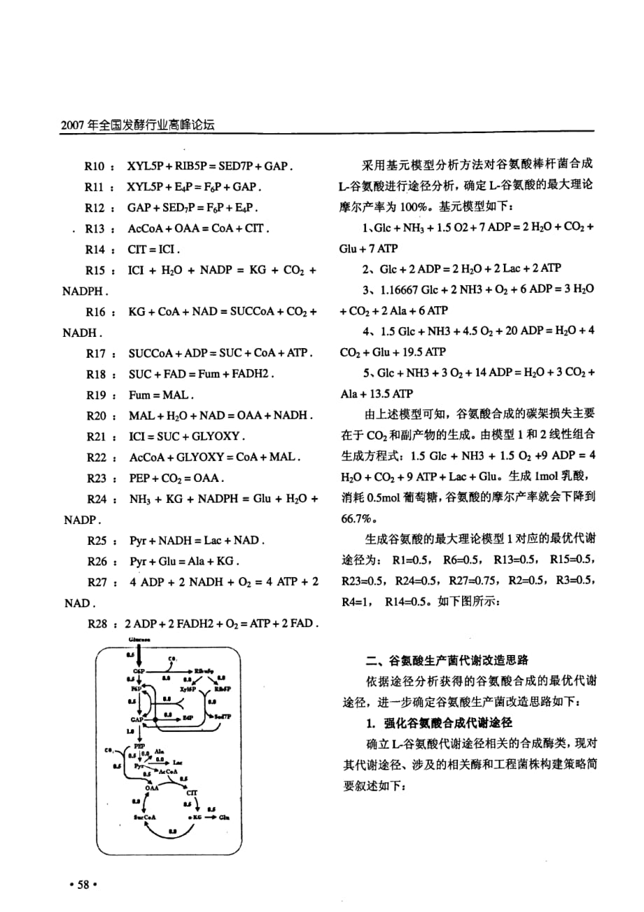 谷氨酸发酵途径分析及代谢改造策略_第2页