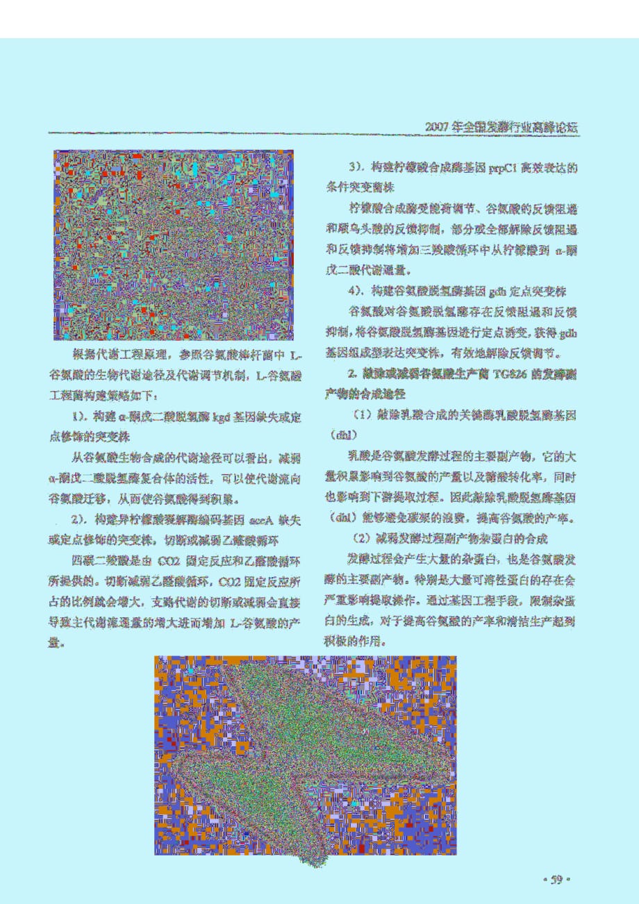 谷氨酸发酵途径分析及代谢改造策略_第3页