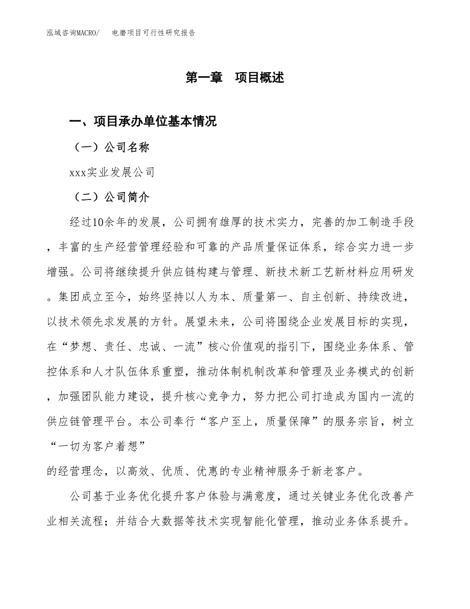 电磨项目可行性研究报告（总投资9000万元）（38亩）_第3页