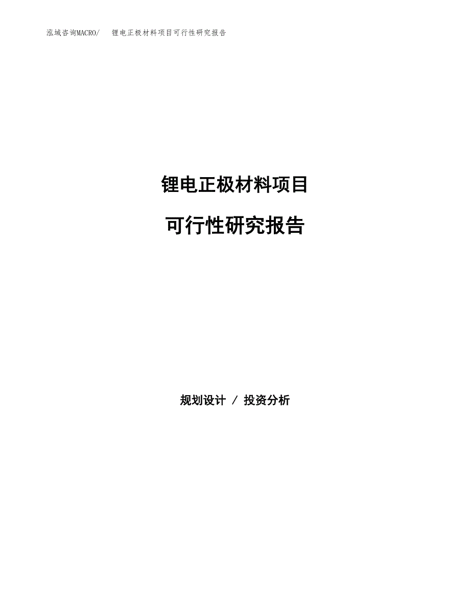 锂电正极材料项目可行性研究报告-立项备案.docx_第1页