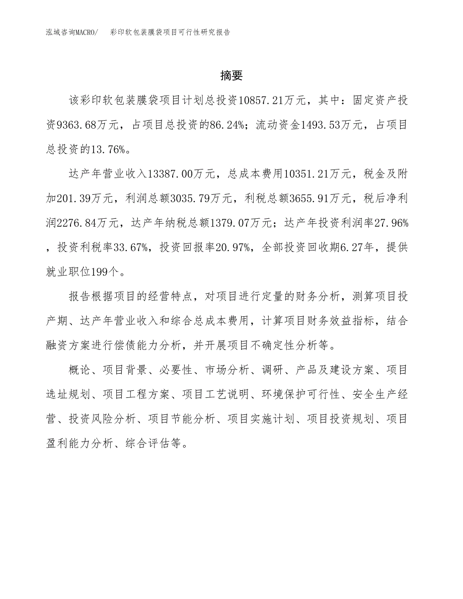 彩印软包装膜袋项目可行性研究报告-立项备案.docx_第2页