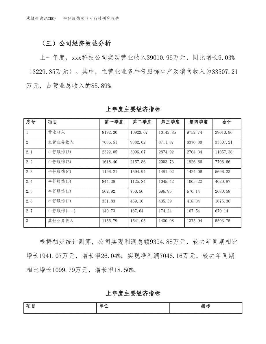 牛仔服饰项目可行性研究报告-立项备案 (1).docx_第5页