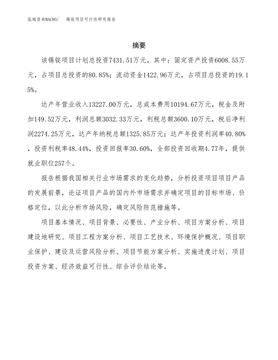 锡锭项目可行性研究报告-立项备案.docx_第2页