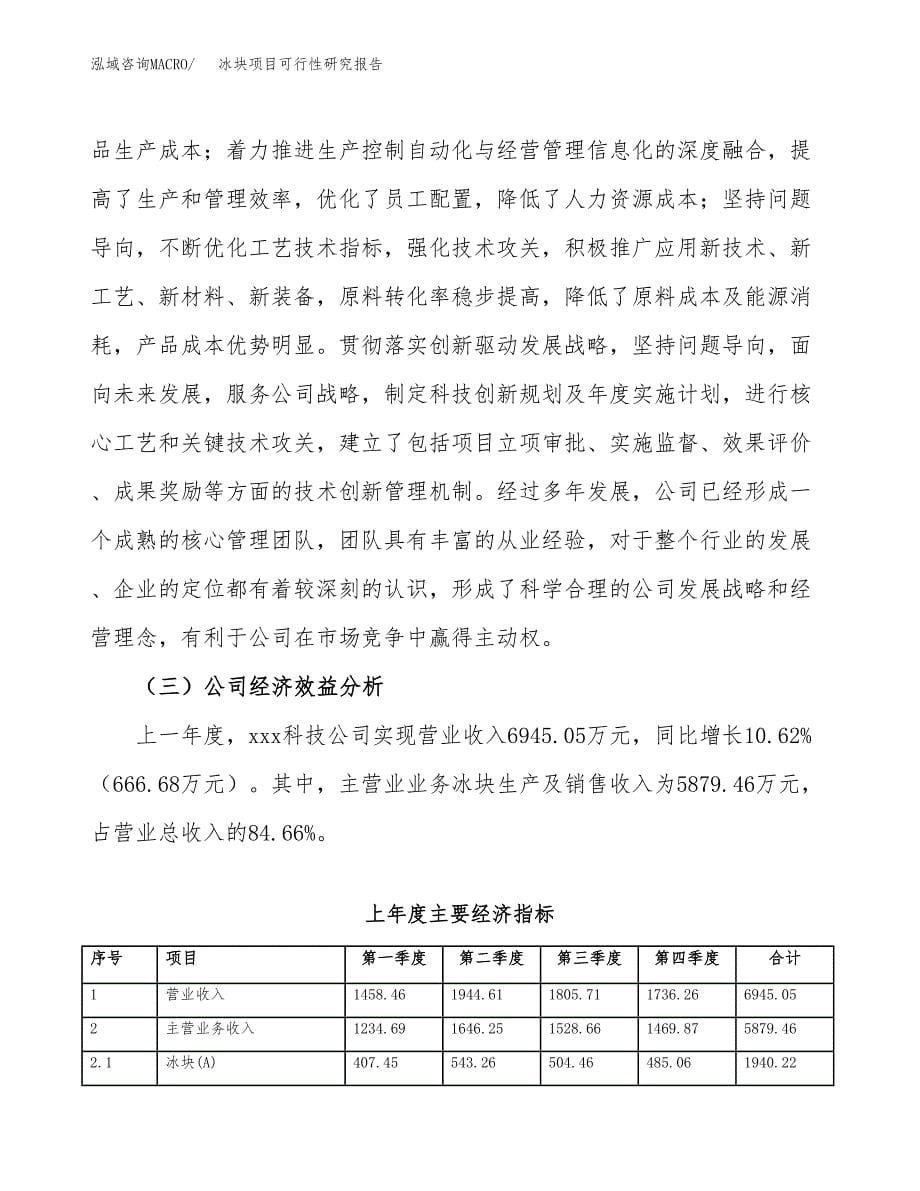 冰块项目可行性研究报告-立项备案.docx_第5页