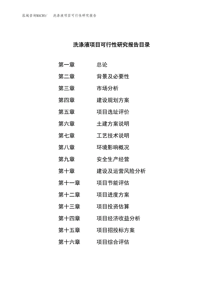 洗涤液项目可行性研究报告-立项备案.docx_第3页