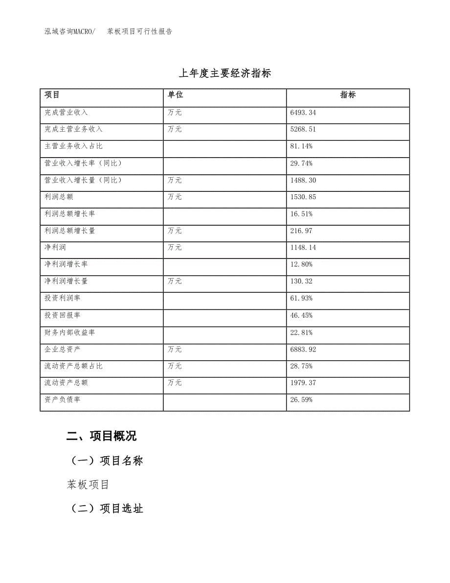苯板项目可行性报告(招商引资).docx_第5页