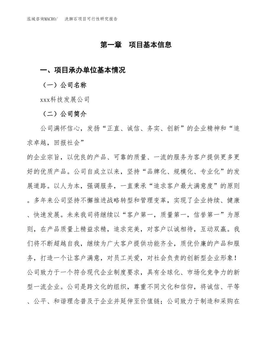 洗脚石项目可行性研究报告（总投资8000万元）（39亩）_第5页