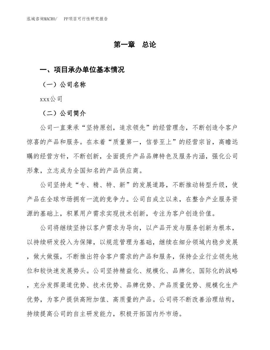 PP项目可行性研究报告（总投资6000万元）（28亩）_第5页